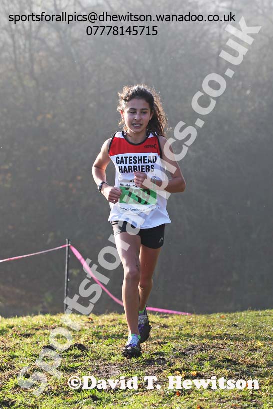 Under-15  girls NEHL, Aykley Heads, Durham. Photo: David T. Hewitson/Sports for All Pics
